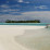 Honeymoon Island Update
