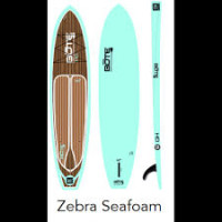 2013a  Flood HD Bote   10’6 x 30 $1399